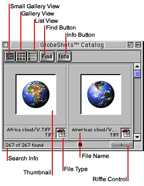Catalog Window